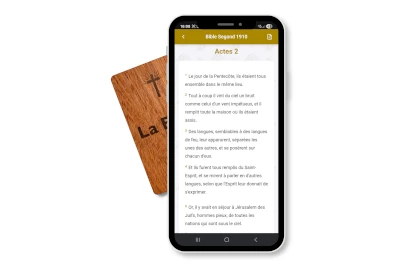 Bible à offrir dans une carte NFC